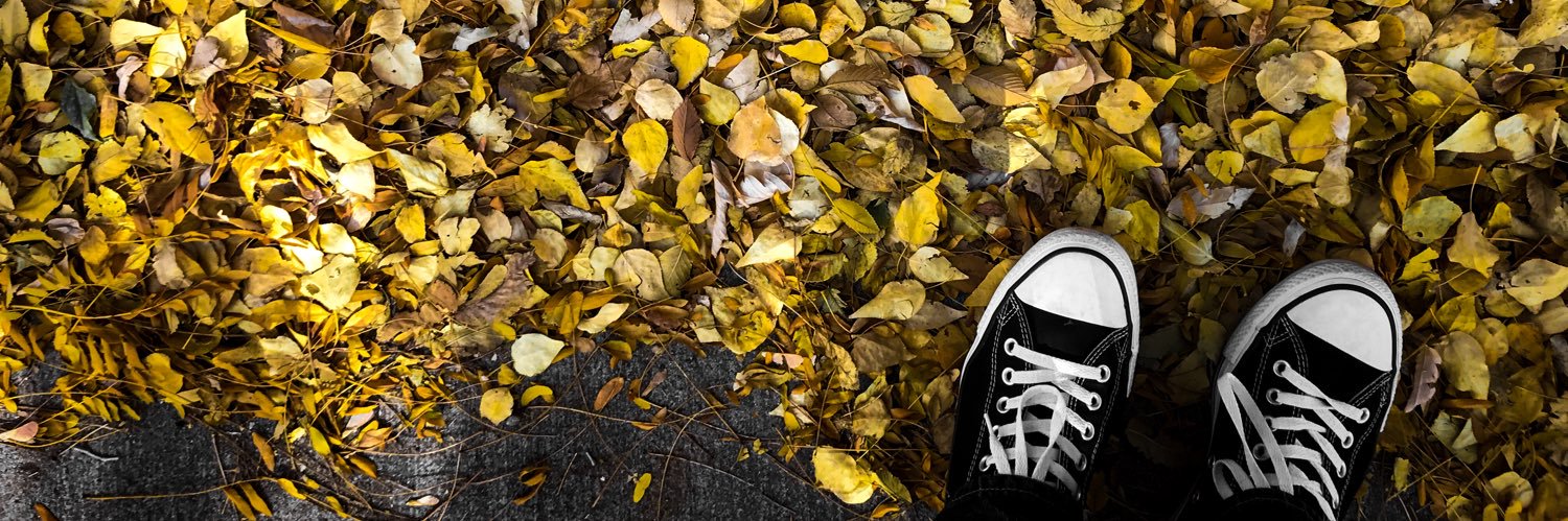 randemsf's profile banner image