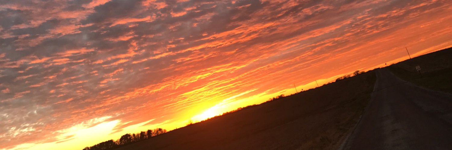 HBouas's profile banner image