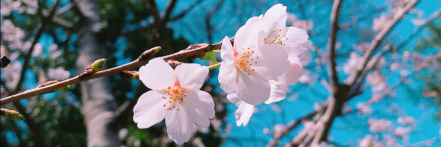 knock_247's profile banner image