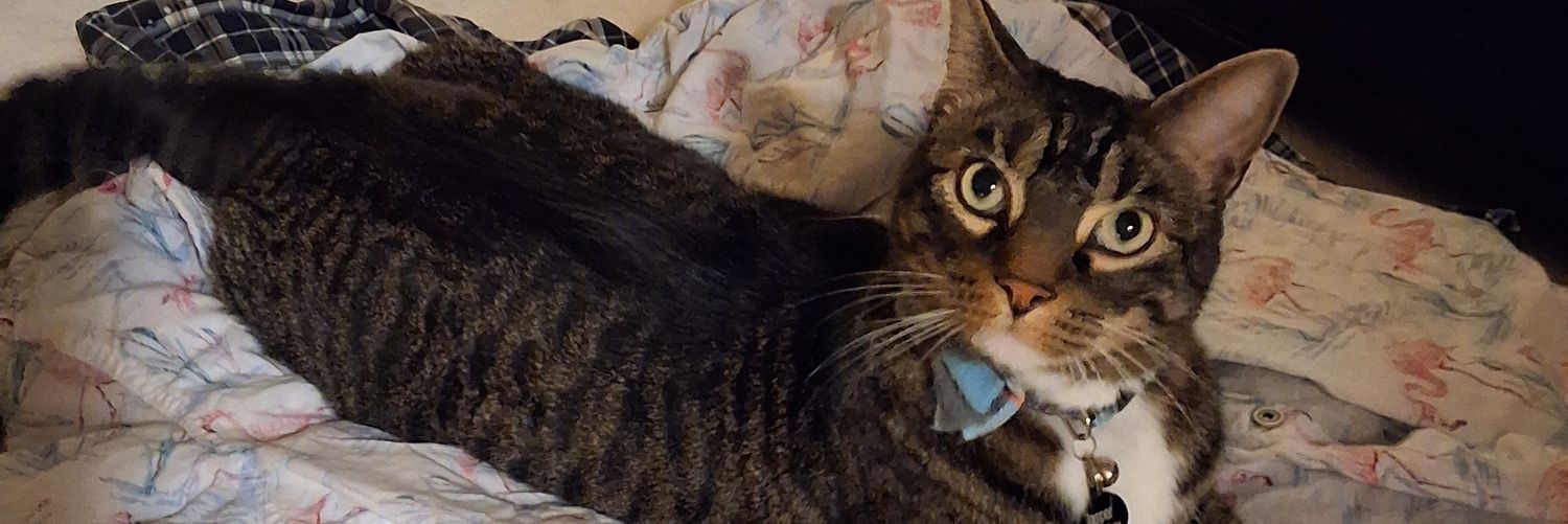 DSP Is SPRINGING FORTH With New Games & Fun! banner