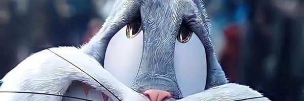 softthunder8 Profile Banner