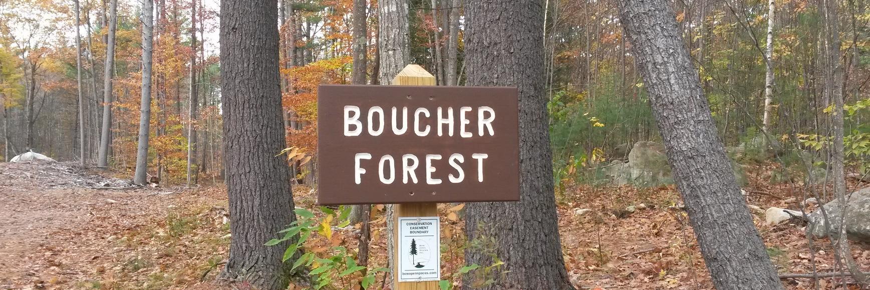 Andrew Boucher banner