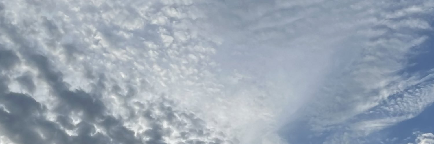 lulasdays's profile banner image