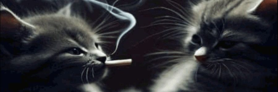 Fer__2212's profile banner image