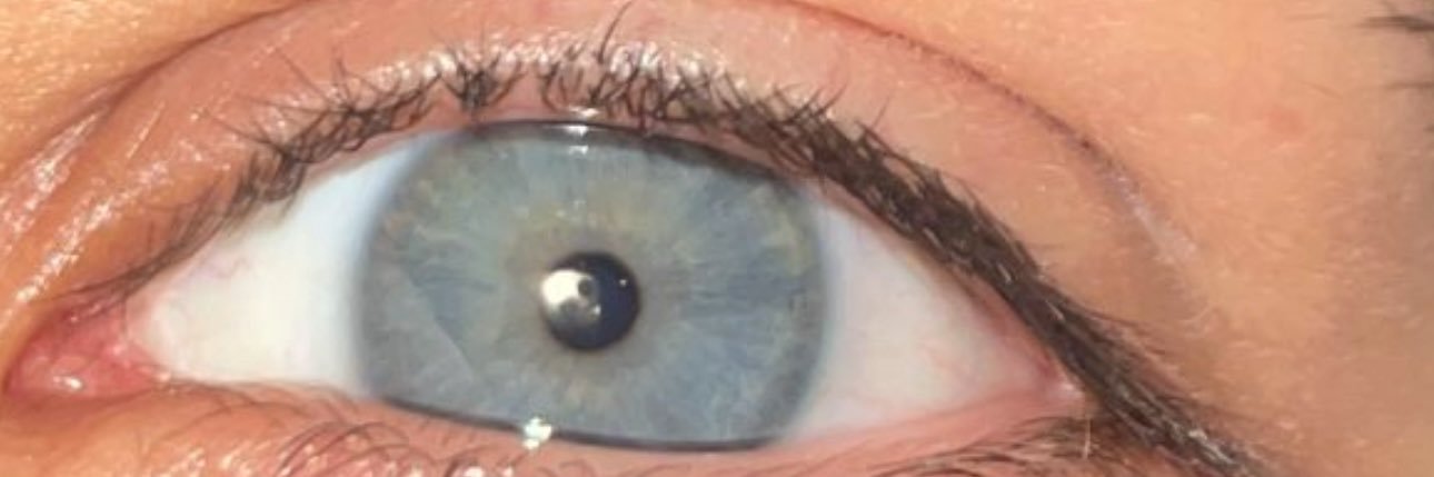 Scopatore2003 banner