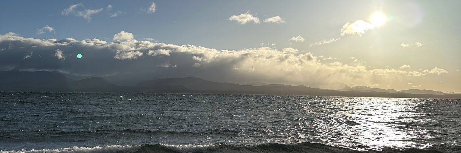 VickiiMo's profile banner image