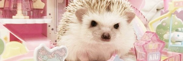 crazypandaa420 Profile Banner