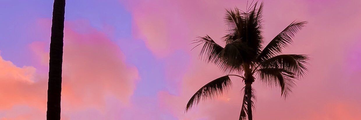 Didiolis's profile banner image