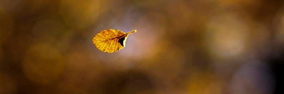EMIF87's profile banner image