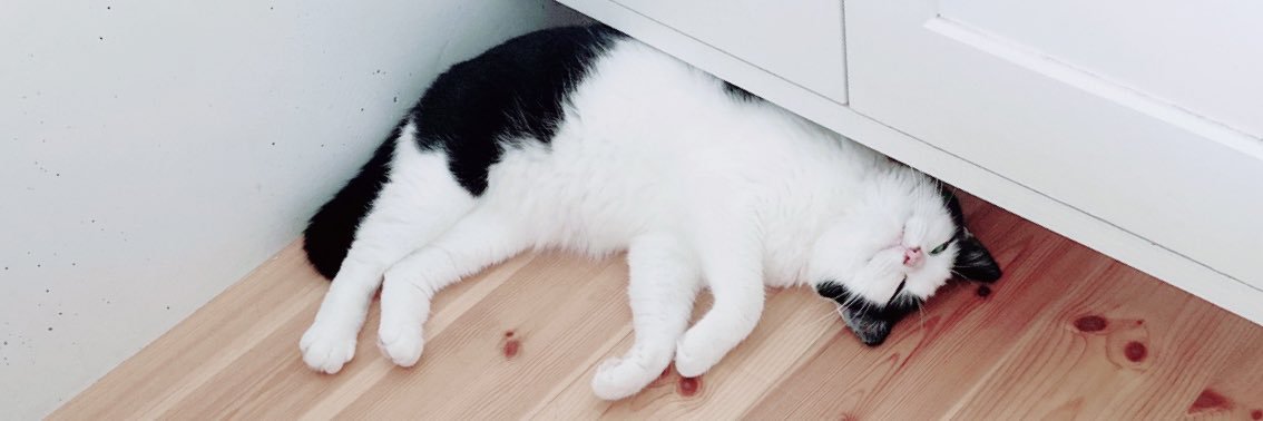 バ成タ🍉 banner