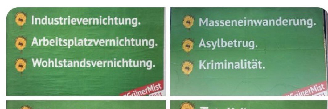 Denis Schmidt banner