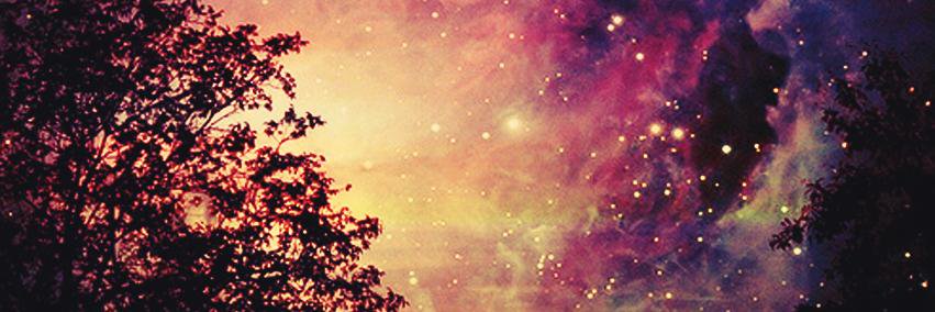 AmberliSullivan's profile banner image