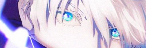 shin banner