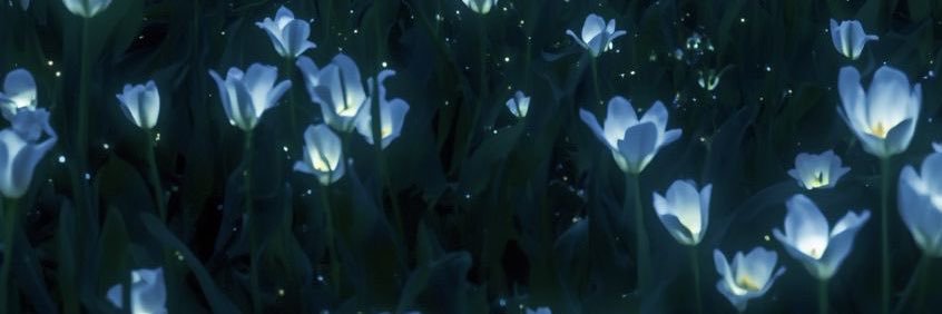 تـِ سْـ 🧢 banner