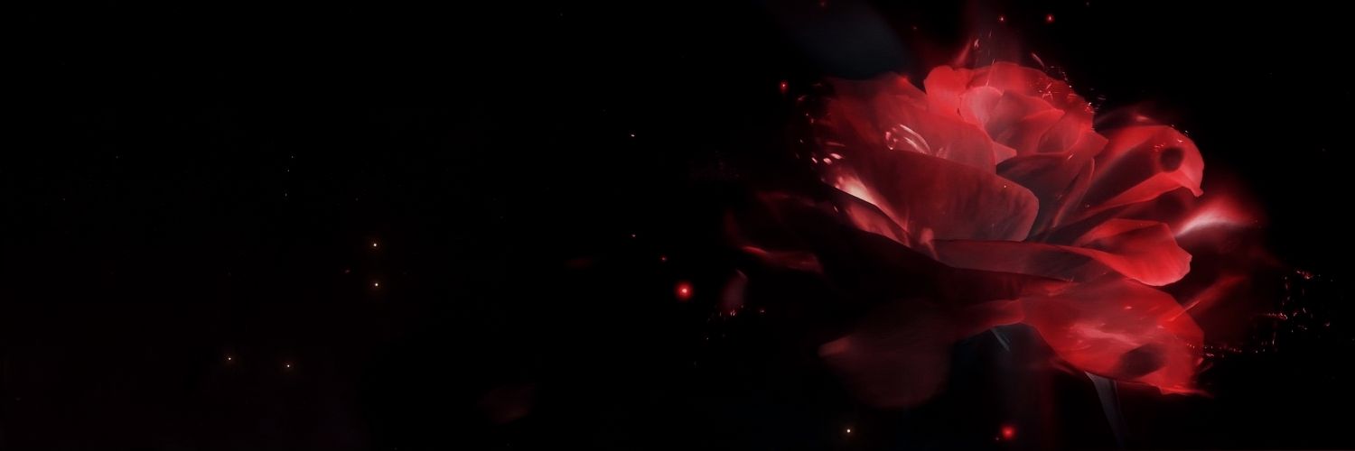 𝑴𝒊𝒂 ꣑୧ banner