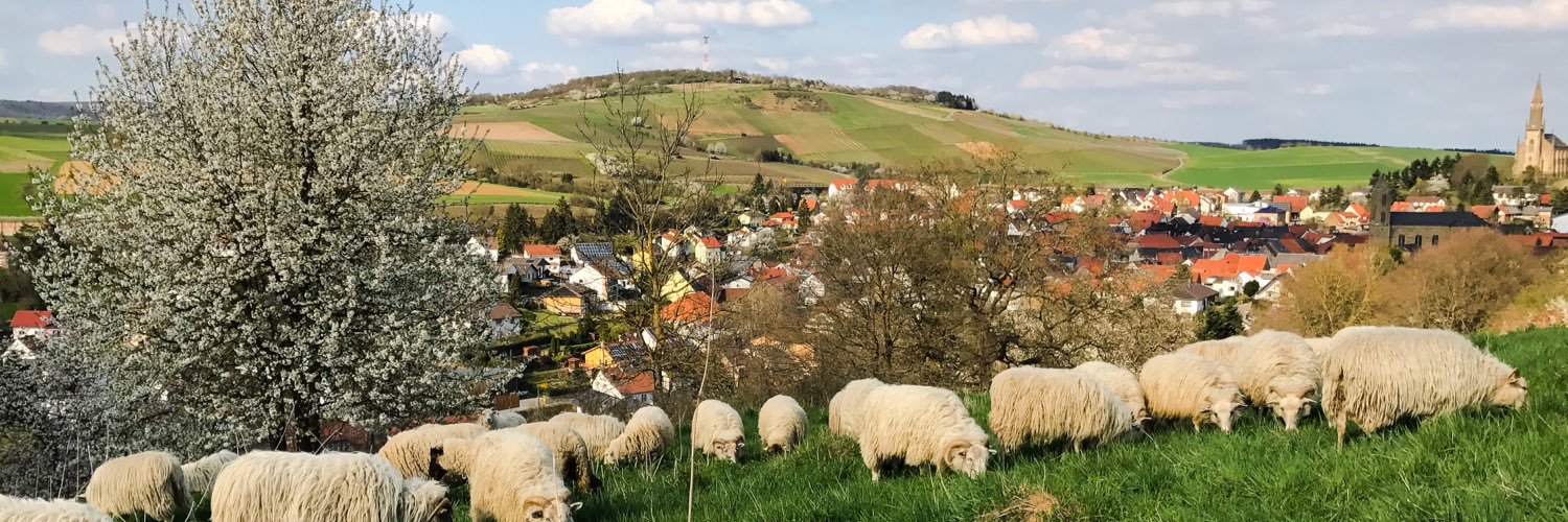 CatTheSheepdog's profile banner image