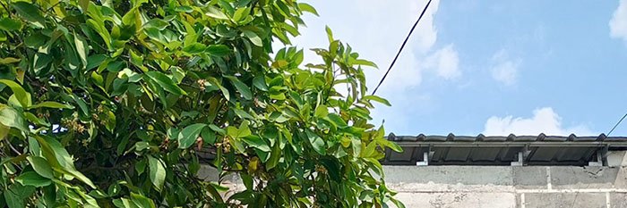 HyunnSuux's profile banner image