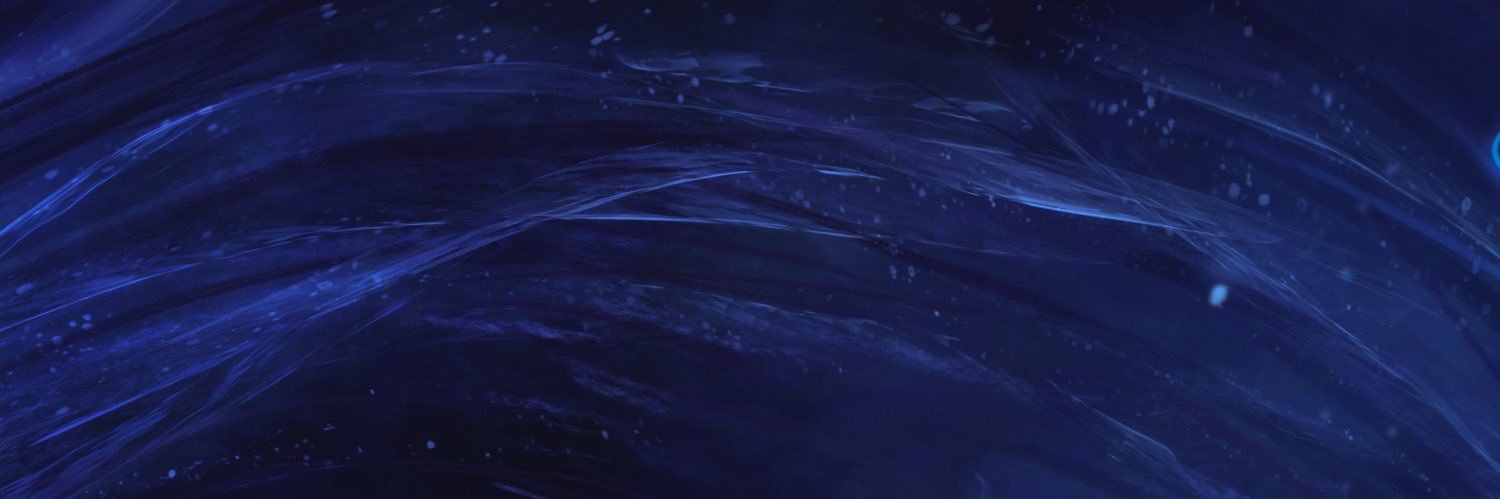Levz banner