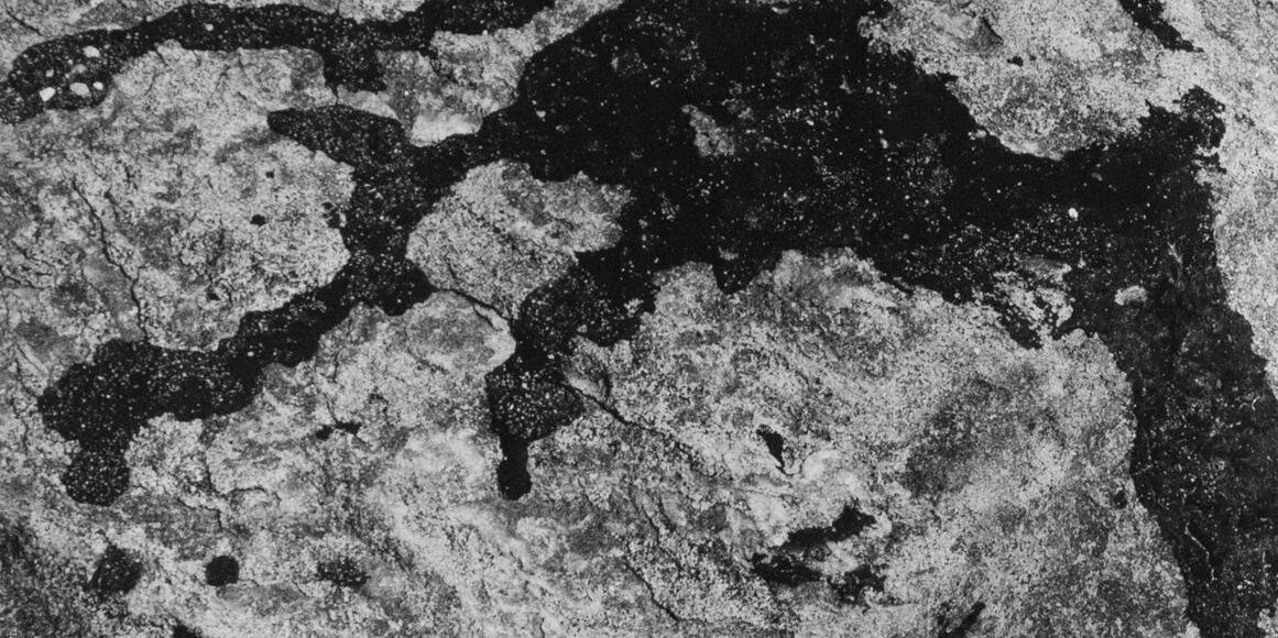 aaronsiskind's profile banner image
