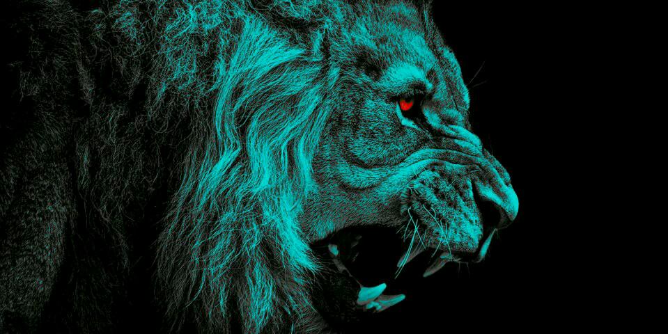 royypunks09's profile banner image