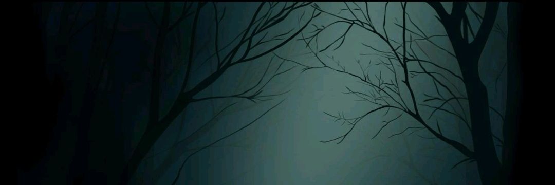 Moira Ashe's banner