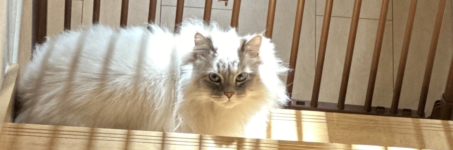 いれぶんの飼い主's banner