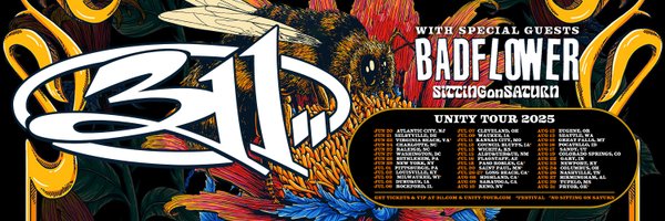 311 Profile Banner
