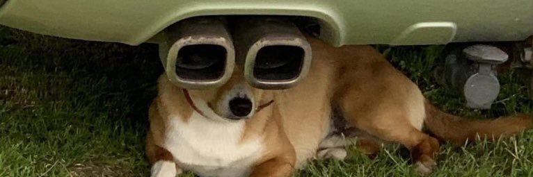 สิบโท คิมติ๊เติ้ล ૮ - ﻌ • ა banner