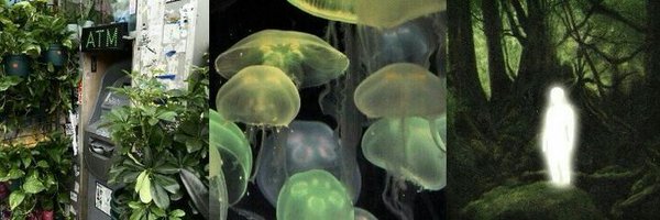 oldream31 Profile Banner