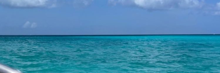 Priscillaabp's profile banner image