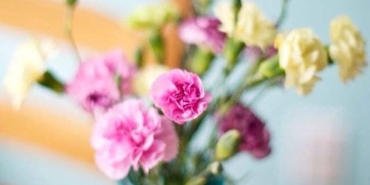 FarmaBCarmona's profile banner image