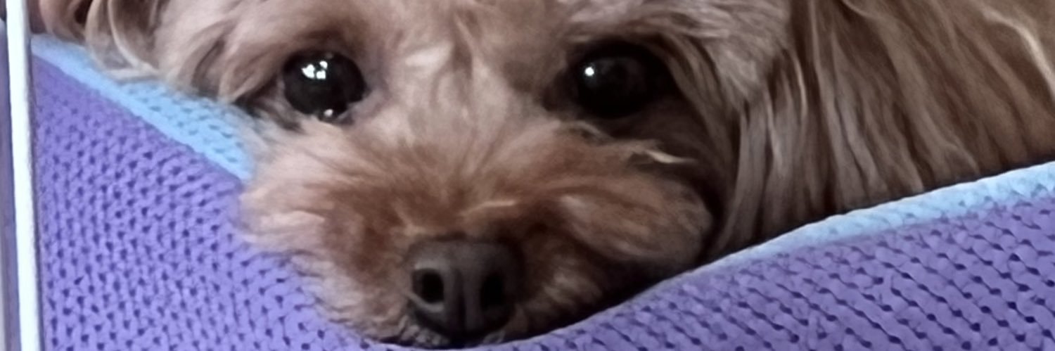 HiroHirocker's profile banner image