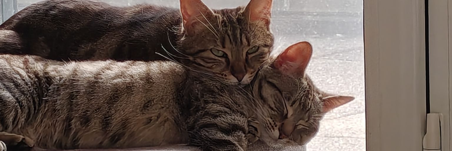 Melv__20's profile banner image