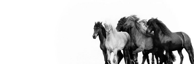 __Lmy3's profile banner image
