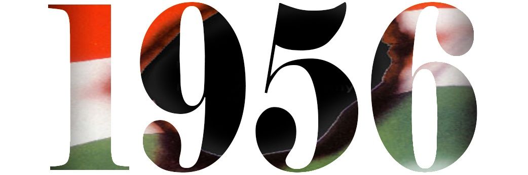 saeedalsaeed599's profile banner image