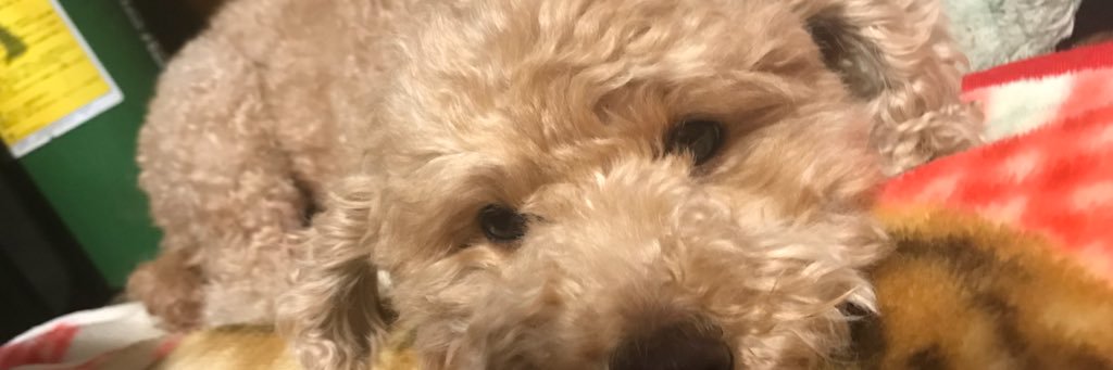 71yusukeke's profile banner image