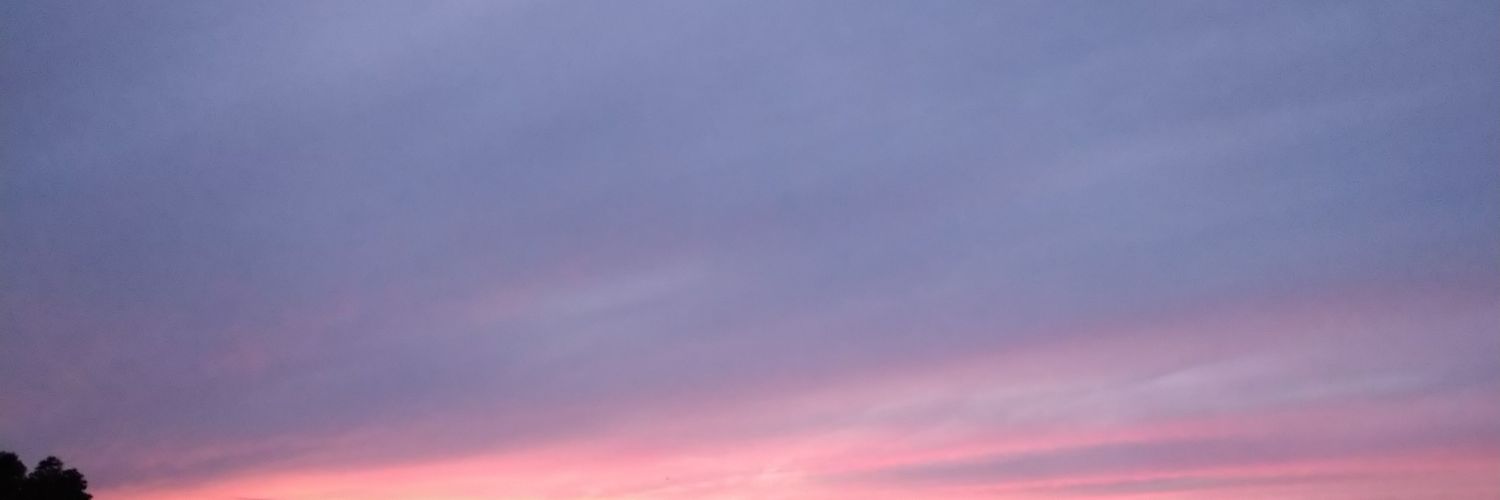 natsu3aki's profile banner image