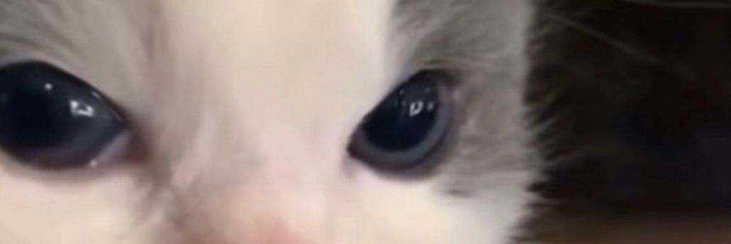 Aclongx's profile banner image