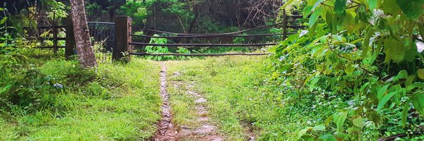 damlemaharaj Profile Banner