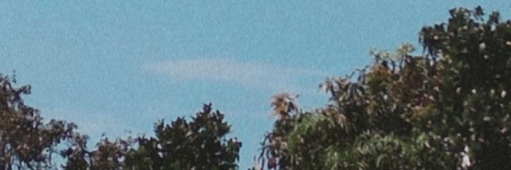 Raadin_'s profile banner image