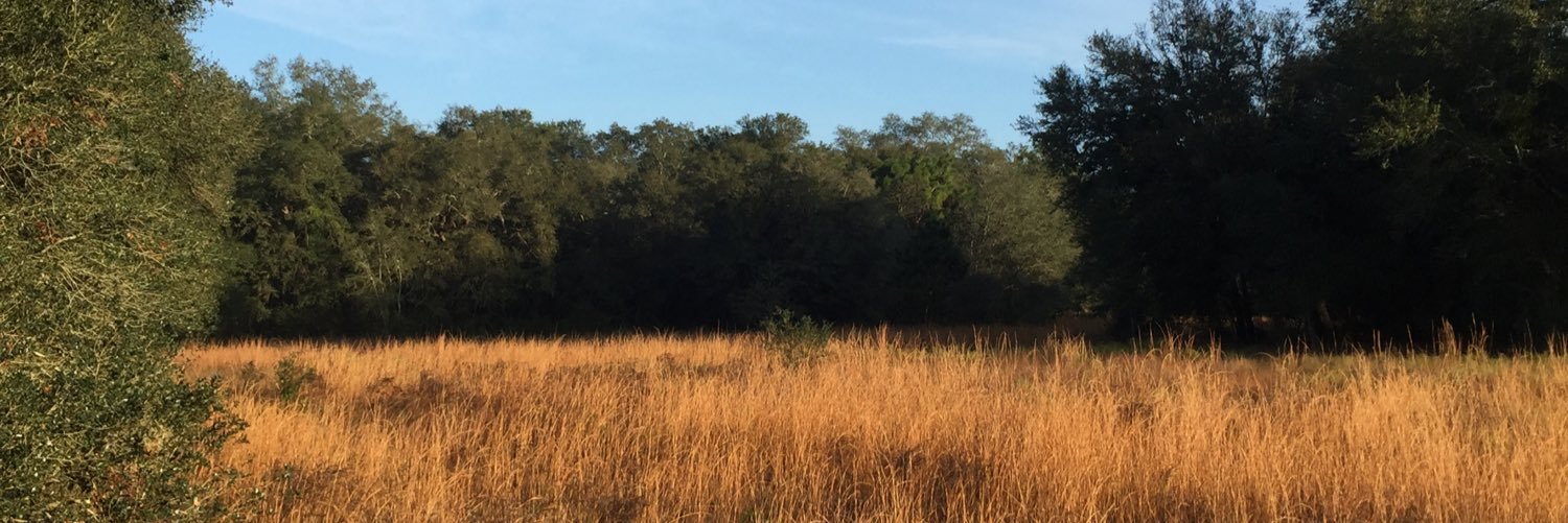 cy_foley's profile banner image