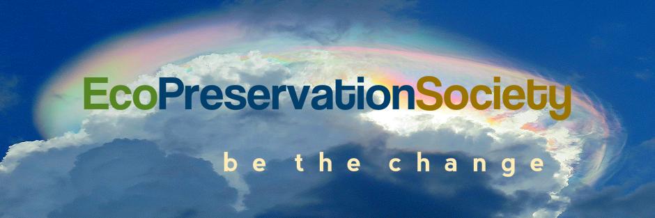 EcoInteractive banner