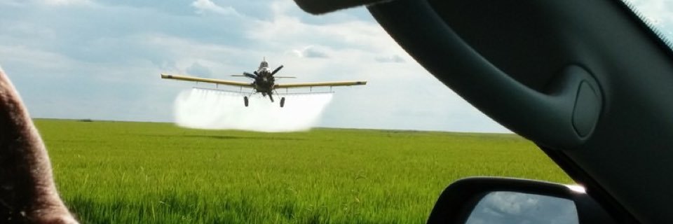 VictorSosa91's profile banner image