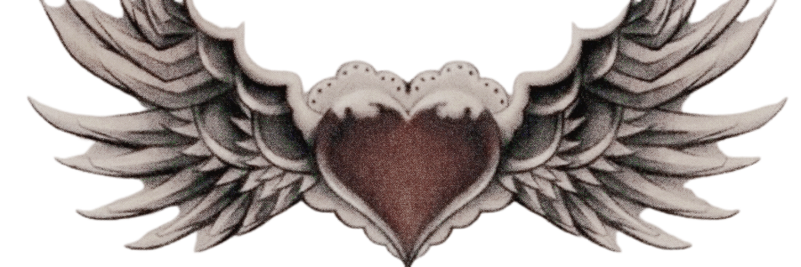 ‍ ✟ ‍ ‍𝐒ᶜ͟ᵃ͟ʳ͟ ‍. banner