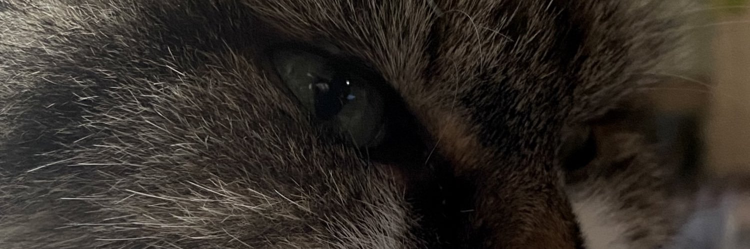 rdosdat's profile banner image