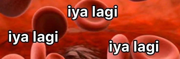 maw. banner