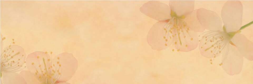 ゆうみ☕️🍁 banner