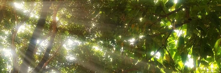 madielele's profile banner image