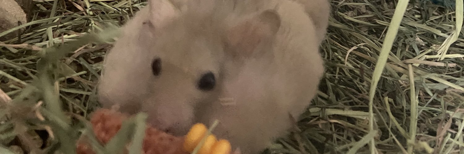 atchouuumm's profile banner image