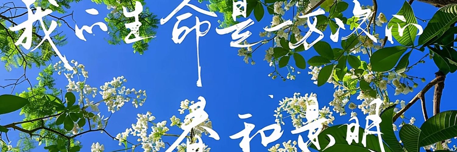 鸿鹄 banner
